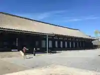 蓮華王院(三十三間堂)(京都府)