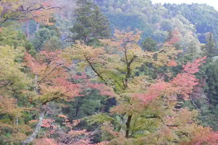 鞍馬寺(京都府)