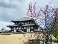 東大寺(奈良県)