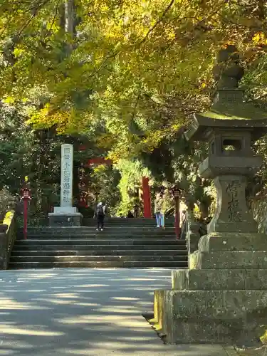 箱根神社(神奈川県)