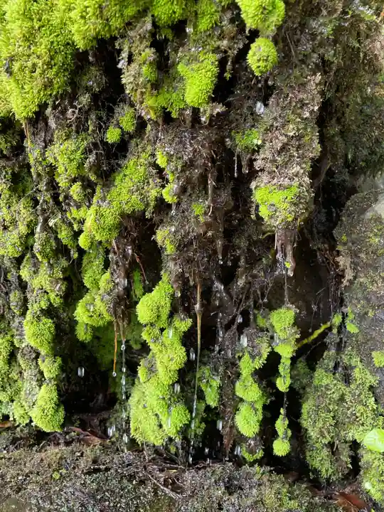 神魂神社(島根県)