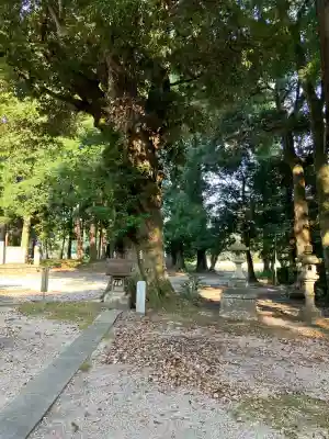 稲田神社(茨城県)