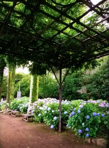 妙法寺(東京都)