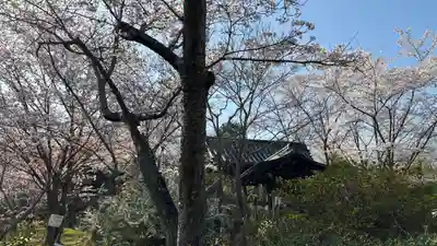 吉備津岡辛木神社(岡山県)