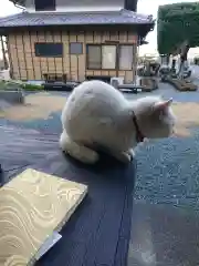 本勝寺の動物