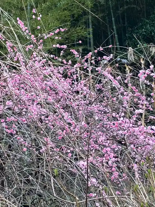 大山祇神社(福岡県)