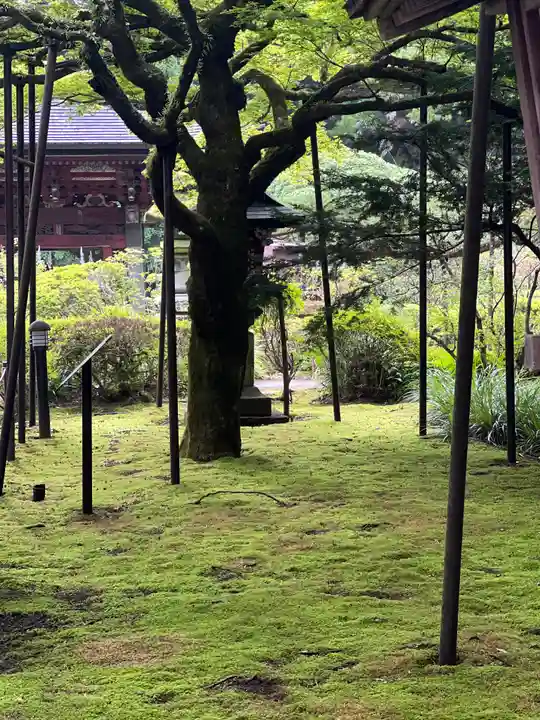 北口本宮冨士浅間神社(山梨県)