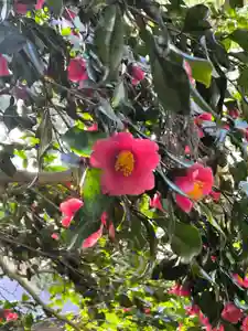 青海神社(新潟県) 2026年03月31日(火)〜(2026年03月30日(月) 17時27分31秒投稿)