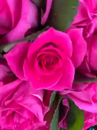 上尾御嶽神社の手水舎