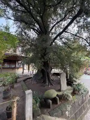 瀬戸神社(神奈川県)