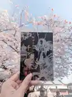 千代神社の御朱印