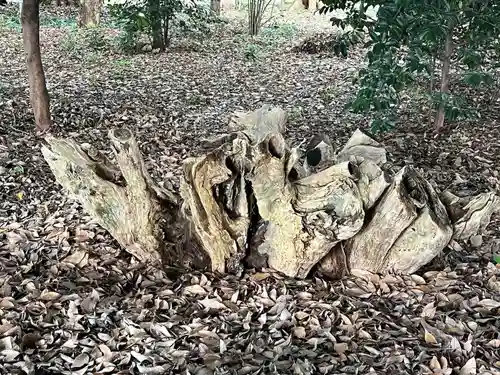 手力雄神社(岐阜県)