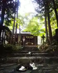 玉野御嶽神社の動物