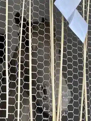 京都ゑびす神社(京都府)