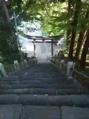 八幡神社(神奈川県)