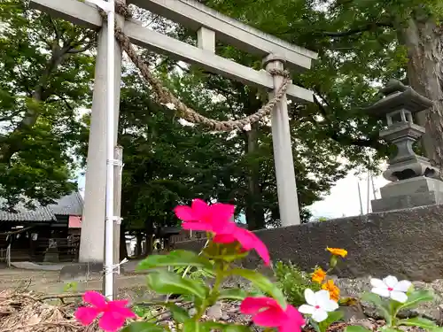 白鳥神社の鳥居