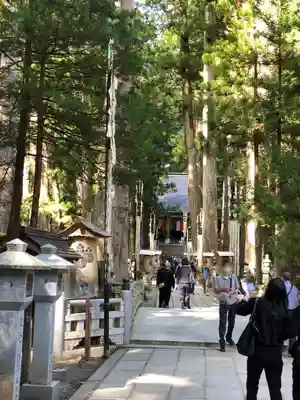 高野山金剛峯寺奥の院(和歌山県)