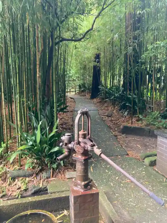 浄智寺(神奈川県)