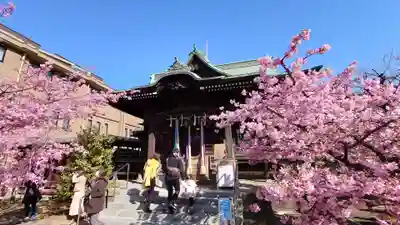 桜神宮の本殿・本堂
