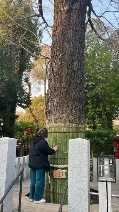 田無神社(東京都)