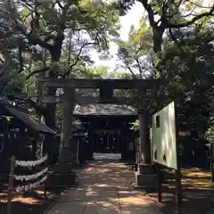 赤坂氷川神社の鳥居