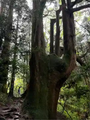 幣立神宮(熊本県)