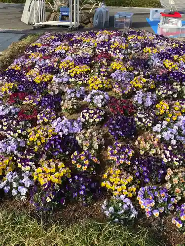 西新井大師総持寺の自然