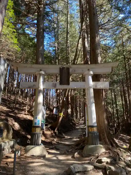 三峯神社(埼玉県)