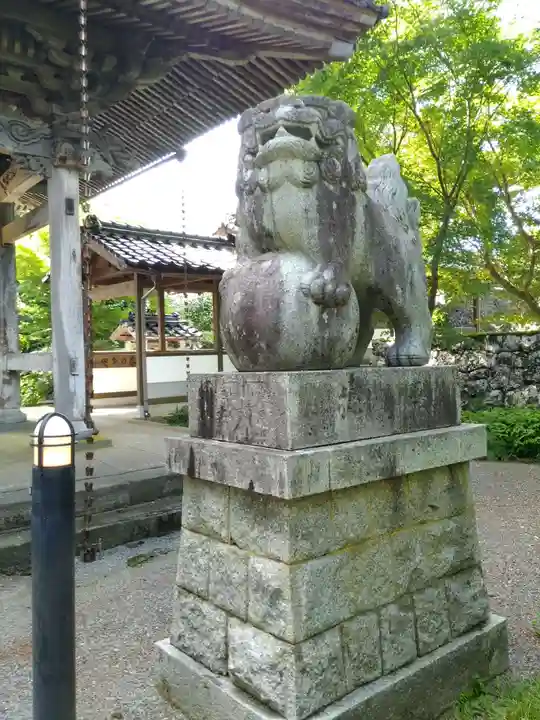隆国寺の狛犬