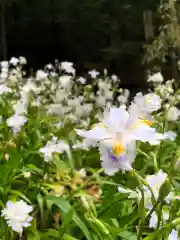 大山寺の自然