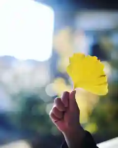 浄土寺(兵庫県)(2023年12月10日(日) 07時33分40秒投稿)