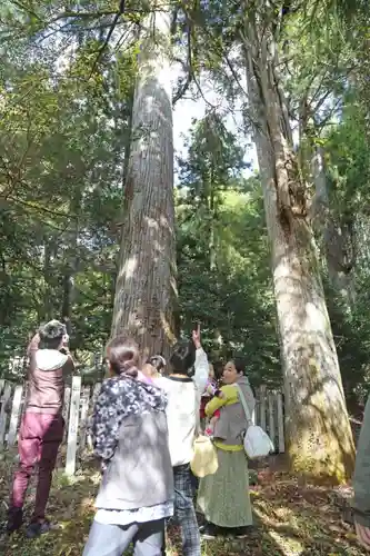 天鷹神社の体験その他