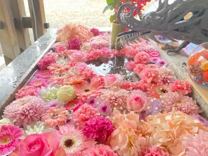 札幌諏訪神社の手水舎