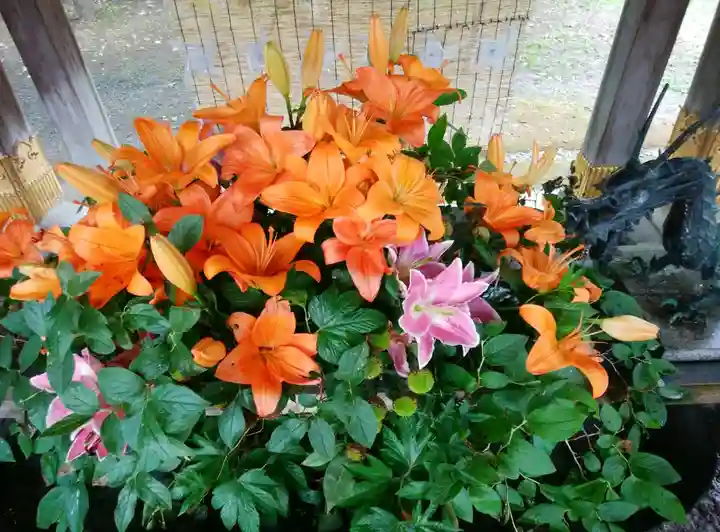 彌彦神社 (伊夜日子神社)の手水舎