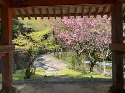 海住山寺(京都府)