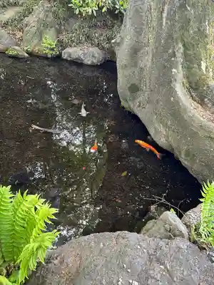 秩父今宮神社(埼玉県)