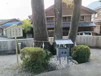 花岡神社の自然