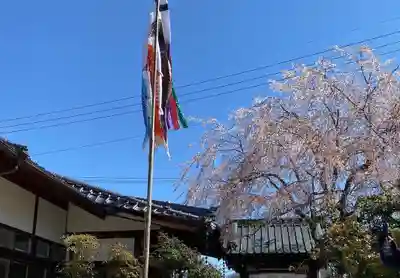 長光寺のその他建物