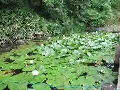 普濟寺の庭園