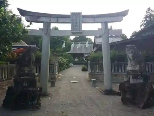 沙沙貴神社の鳥居