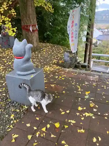 鹿角八坂神社の動物
