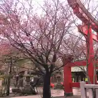 彌彦神社 (伊夜日子神社)の自然