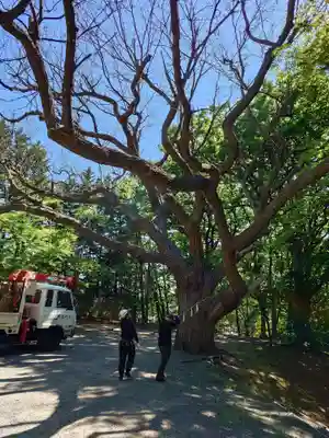 相馬神社(北海道)
