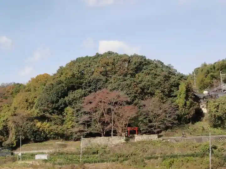 石床神社旧社地の自然