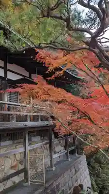 禅林寺(永観堂)(京都府)