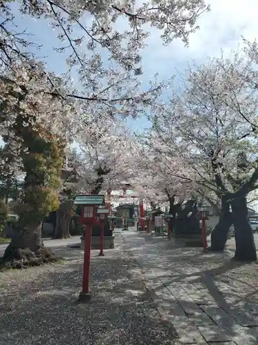 鷲宮神社(埼玉県)