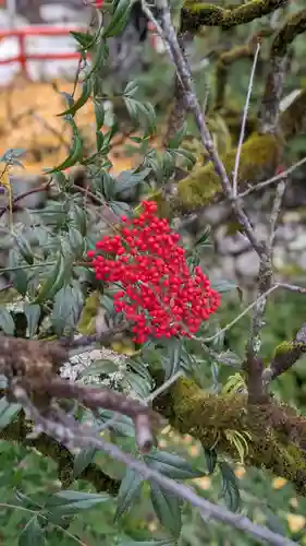 賀茂御祖神社（下鴨神社）(京都府)