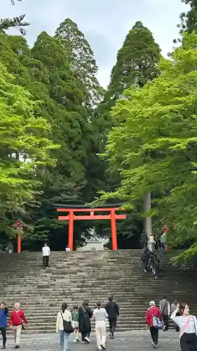 霧島神宮(鹿児島県)