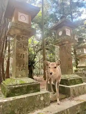 春日大社(奈良県)