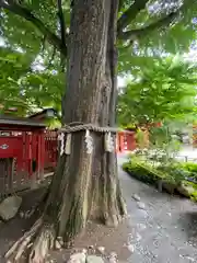 秩父神社(埼玉県)